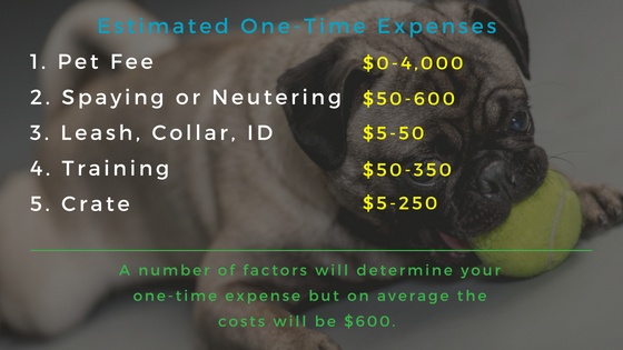 One Time Puppy Expenses: